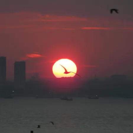 Khalkedon Отель Стамбул